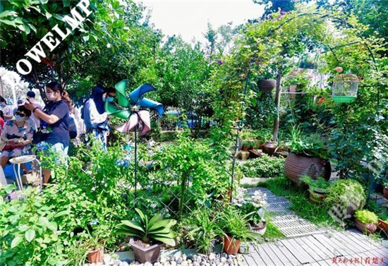 武汉花园家庭颁奖典礼搬进市民后花园：分享生活情怀，诗意浸润心